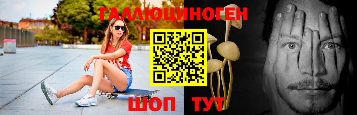 Набережные Челны  Галлюциногенные грибы прущие грибы  Вход с VPN 